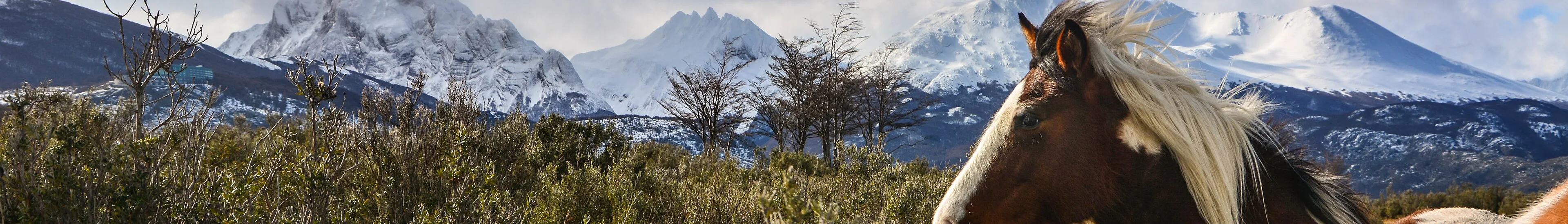 A view of Argentina