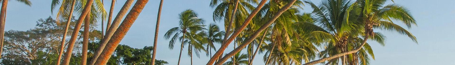 A view of Fiji