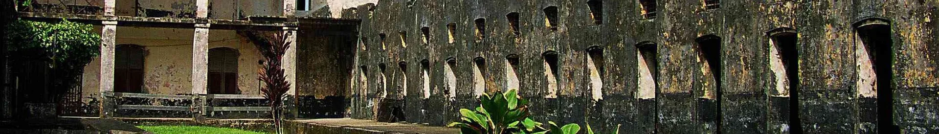 A view of French Guiana
