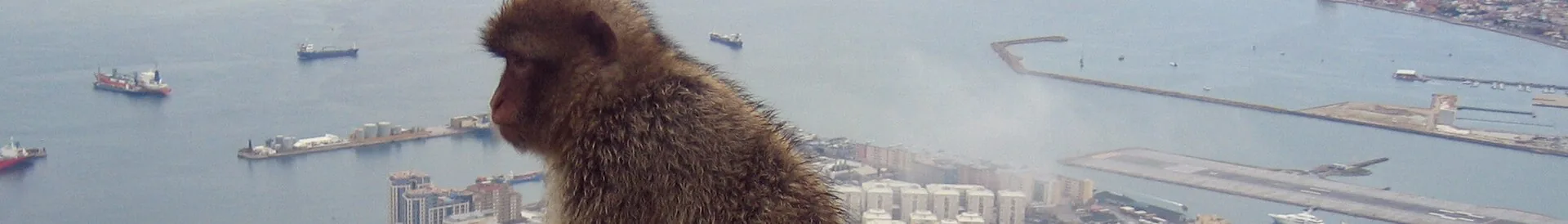 A view of Gibraltar