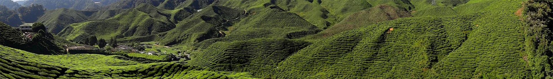 A view of Malaysia