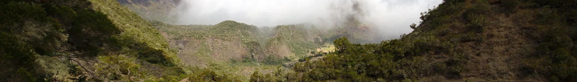 A view of Réunion