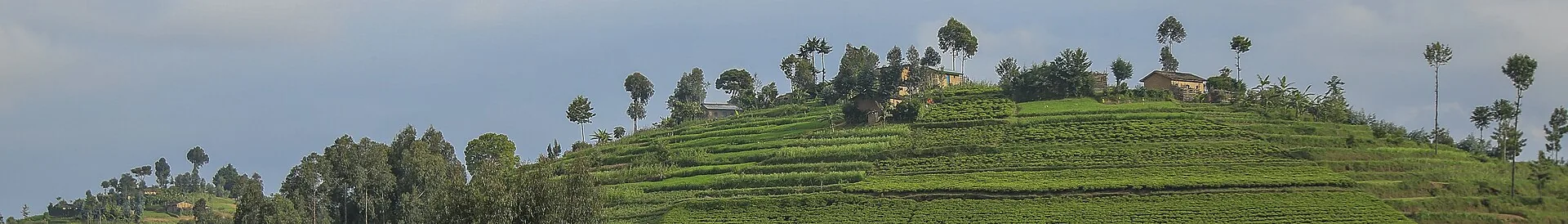 A view of Rwanda