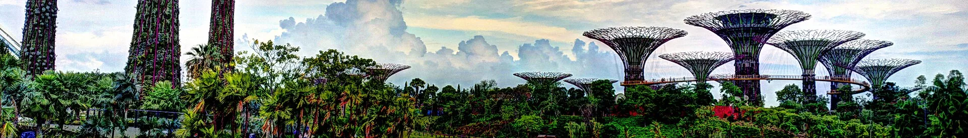A view of Singapore