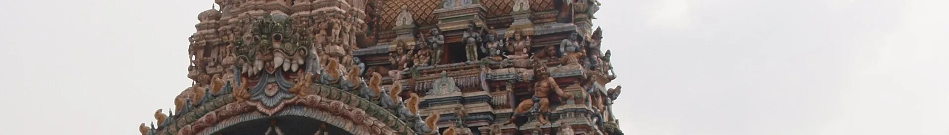 A view of Sri Lanka