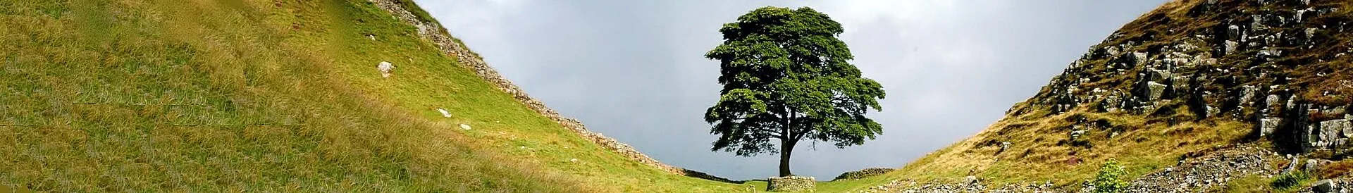 A view of United Kingdom