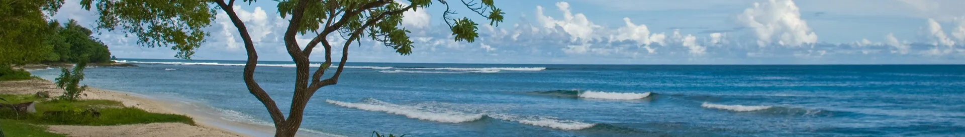 A view of Vanuatu